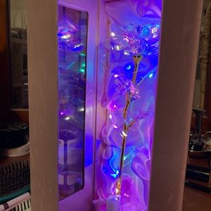Galaxy Rose flower gift
